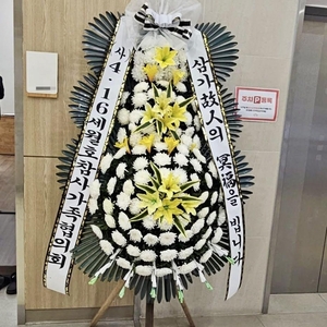 Sewol survivor dies after years of survivor’s guilt