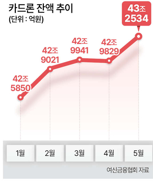 ‘빚투 수요’ 폭발에 카드론 잔액 43조 돌파…또 ‘최대치’