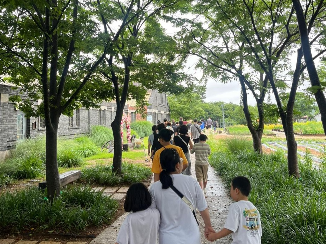 드림스타트 가정 초청 상하농원 가족캠프 [매일유업 진암사회복지재단 제공]