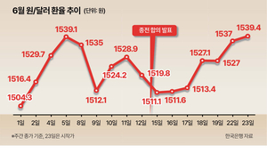 금융위기 때보다 높은 환율, 1500원대 고공행진 3가지 이유