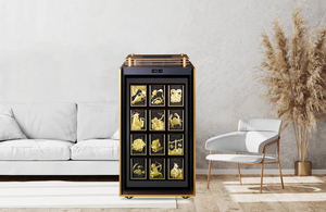 [Best Brand] Sun Safes eyes global expansion with smart tech
