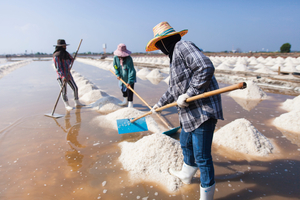 Salt farm slavery cases return amid trade concerns
