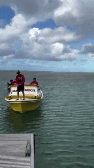 Search ends for missing Korean father, son off Hawaii coast