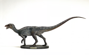 Koreanosaurus, 1st dinosaur fossil named after Korea to become natural monument