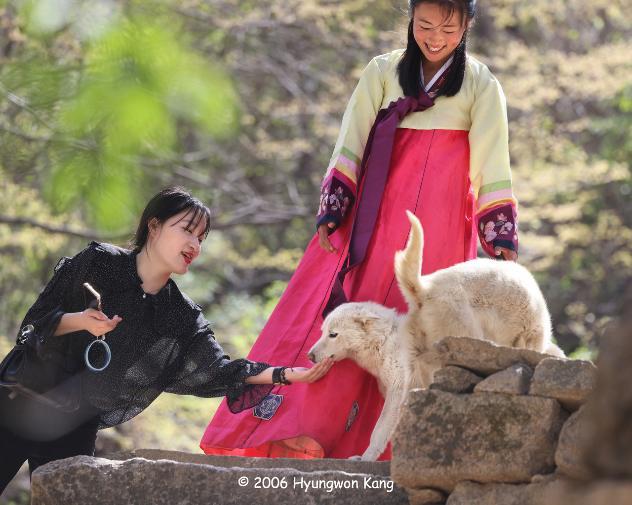 A visitor (left) reaches out to a Pungsan-gae, North Korea's national dog, as docent Kim Junghyang, 22, looks on at Gwaneumsa in Kaesong.  (Hyungwon Kang)