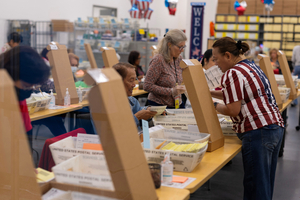 US endorses grace periods for mail-in ballots
