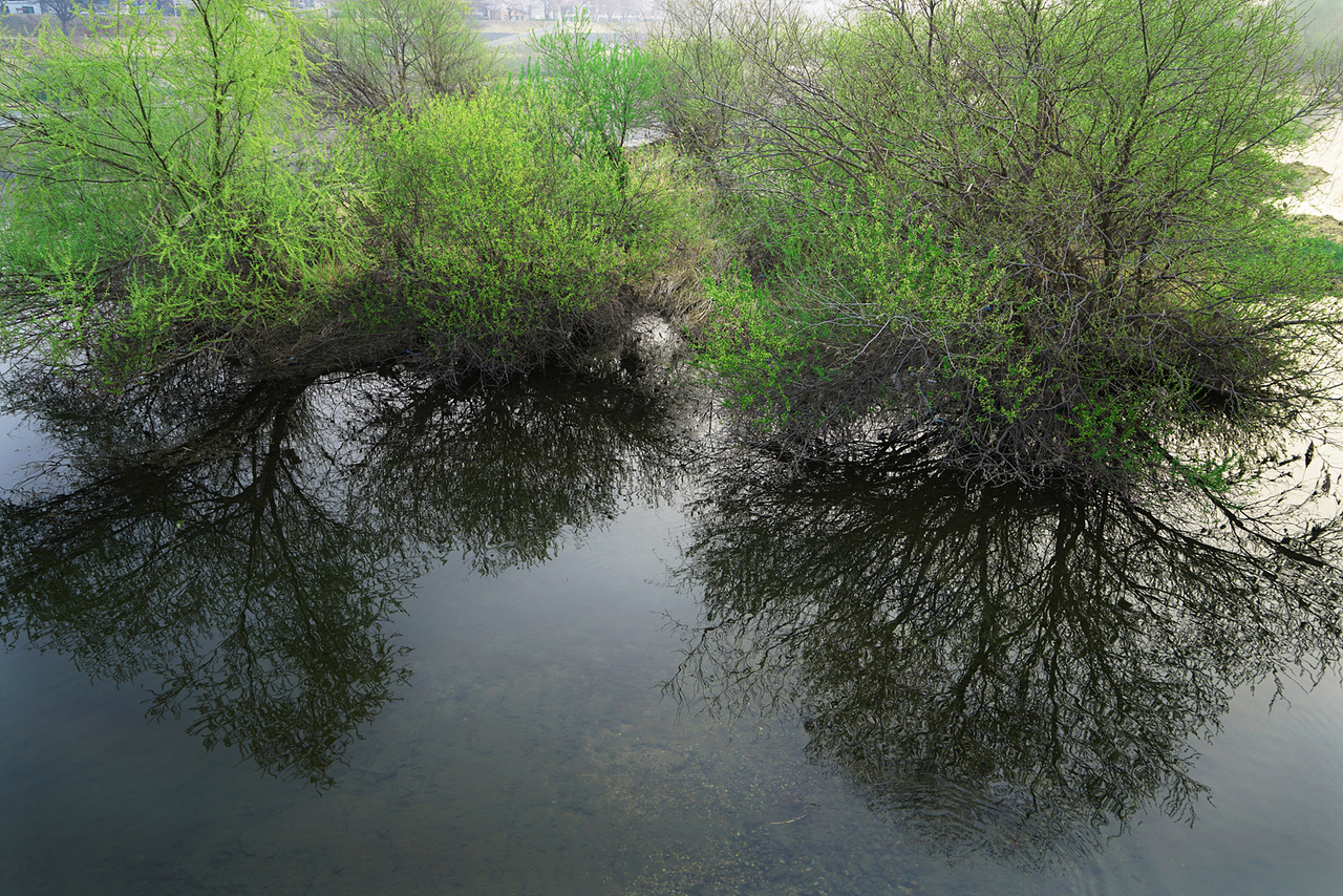 Palhyeon Wetland (Park Jung-il)