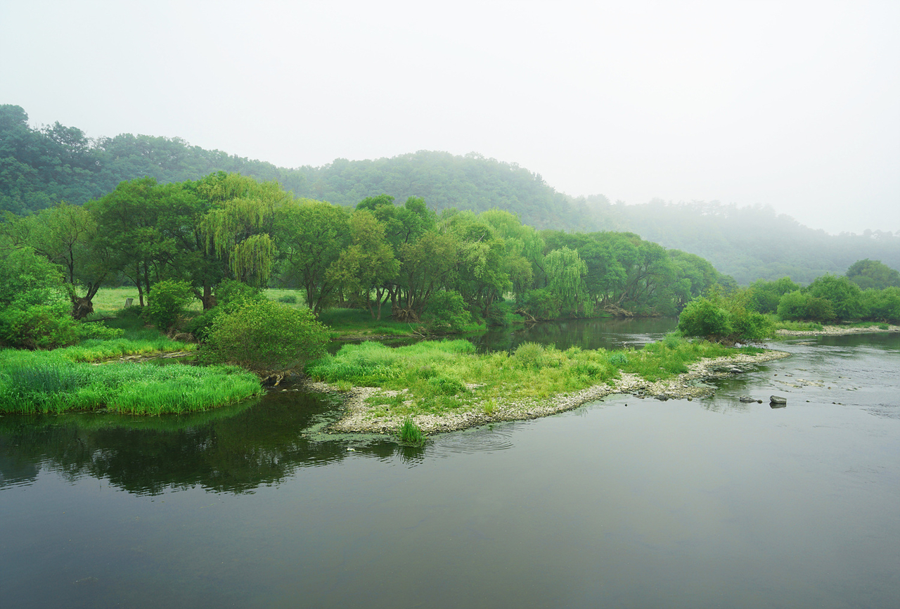 Palhyeon Wetland (Park Jung-il)