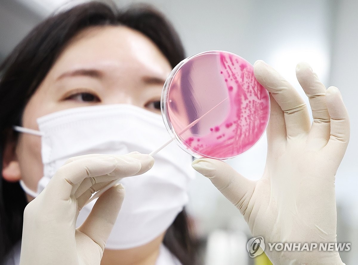식중독균 배양분리 작업 [연합]