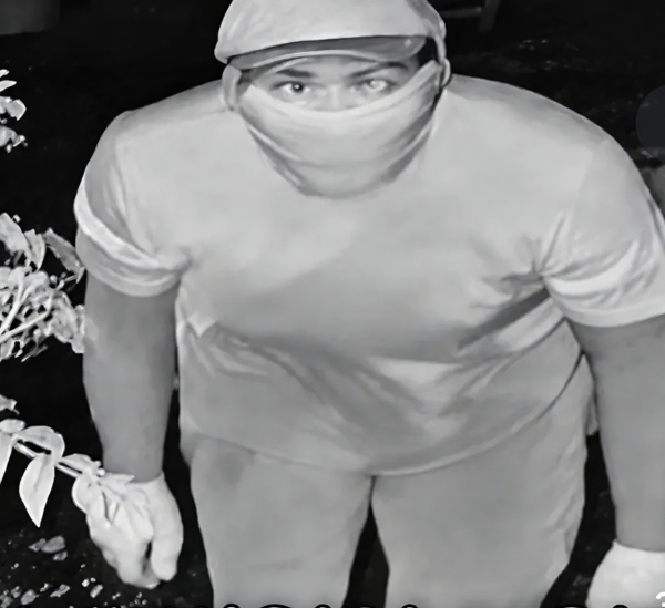 A doctored image purporting to show a murder suspect in Tongyeong, South Gyeongsang Province, circulates on social media. (Instagram)