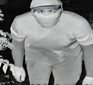 Doctored photo of murder suspect fuels xenophobic speculation