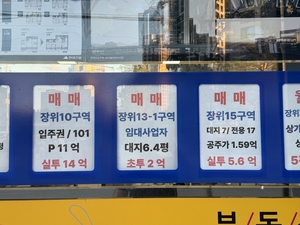 “1년 새 4억 뛰더니” 장위뉴타운 ‘국평 16억’ 돌파, 빌라 갭투자 불붙었다 [부동산360]