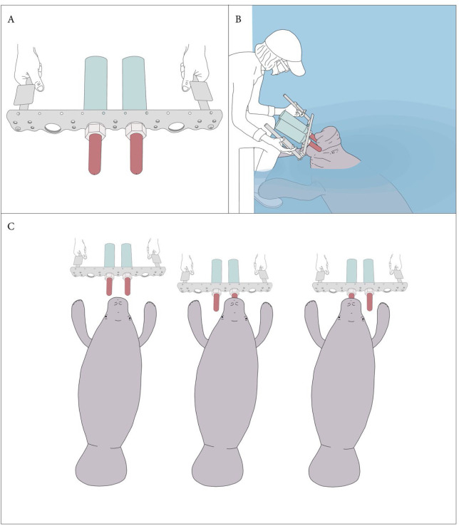 The experimental setup used in the study. [Physiology & Behavior]