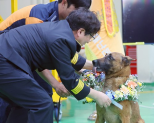 Job well done, Chungseong