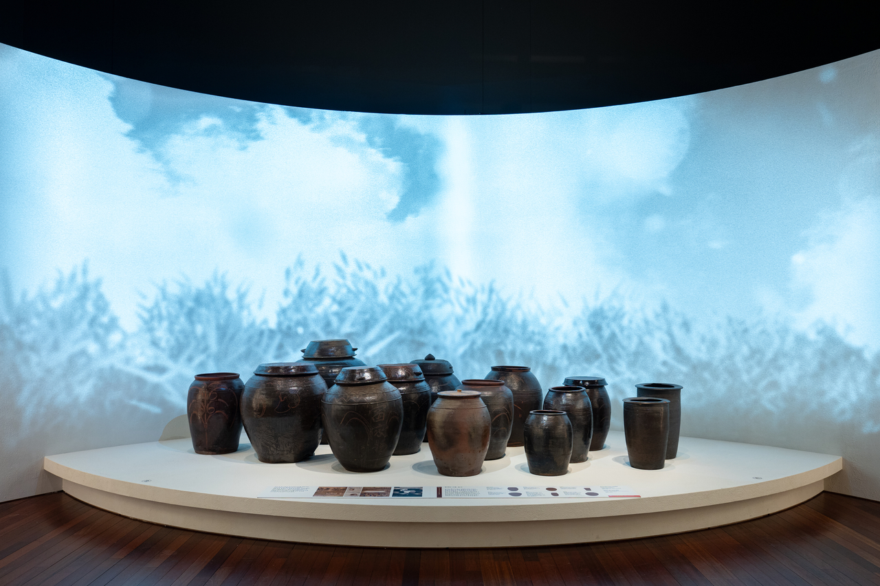 Traditional Korean onggi earthenware jars displayed in rows at the National Museum of Korea, the vessels historically used to ferment gochujang, doenjang, and ganjang