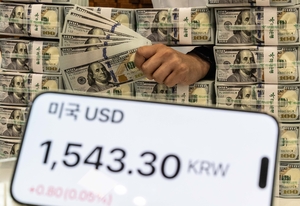 “시장에 달러가 넘쳐 난다” 마이너스 프리미엄까지, 고환율 시대 무슨 일?