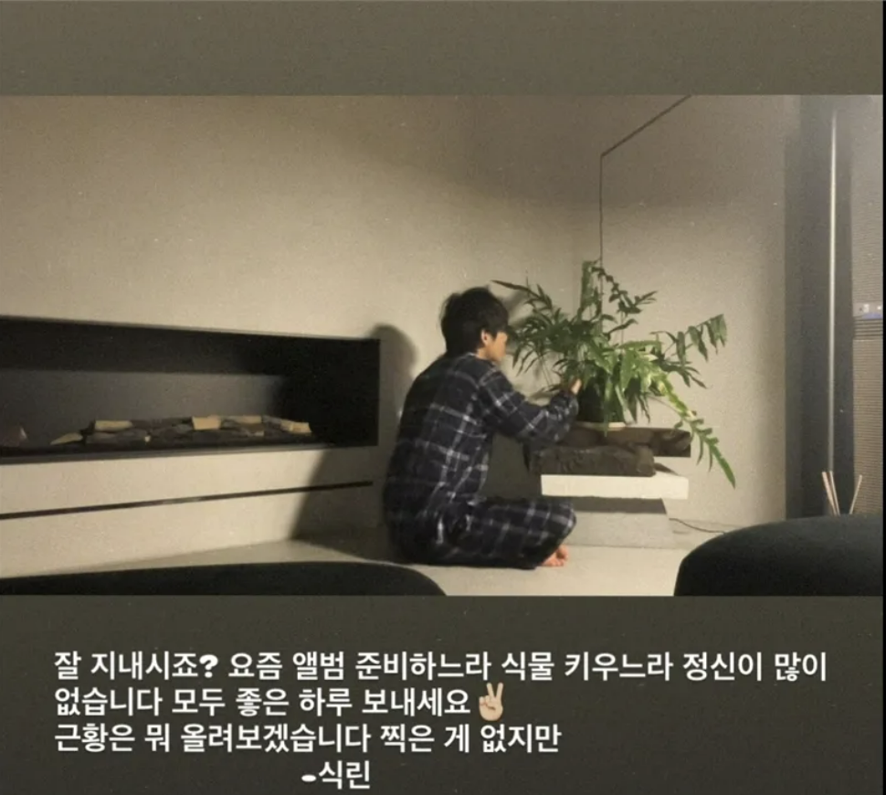 BTS' V posted a picture of himself taking care of a plant at home in January. (Instagram)