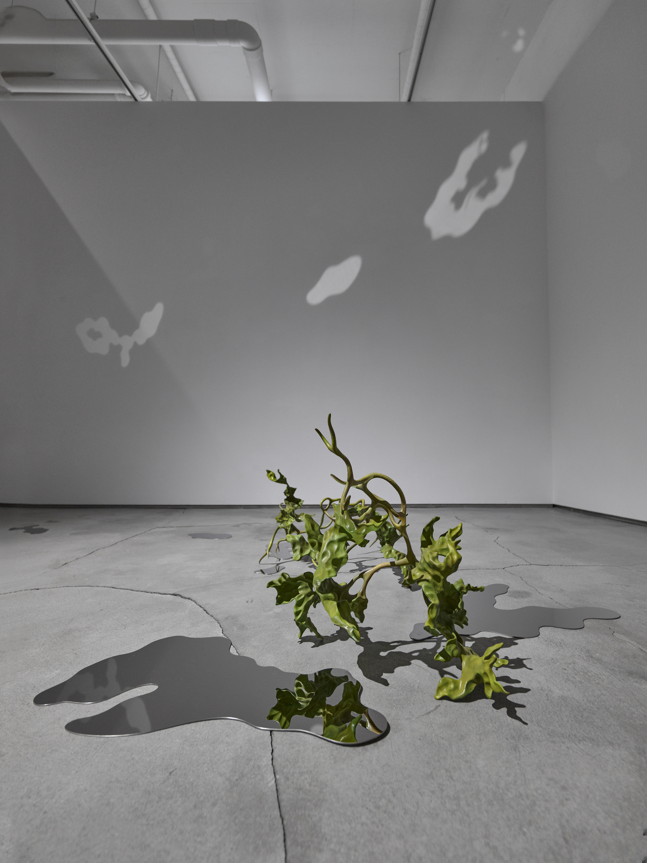 Installation view of "Faisandage" at G Gallery in Seoul (Courtesy of the gallery)