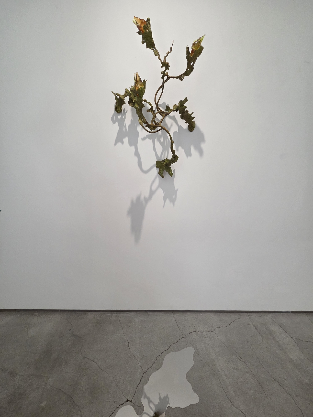 Installation view of "Faisandage" at G Gallery in Seoul (Park Yuna/The Korea Herald)