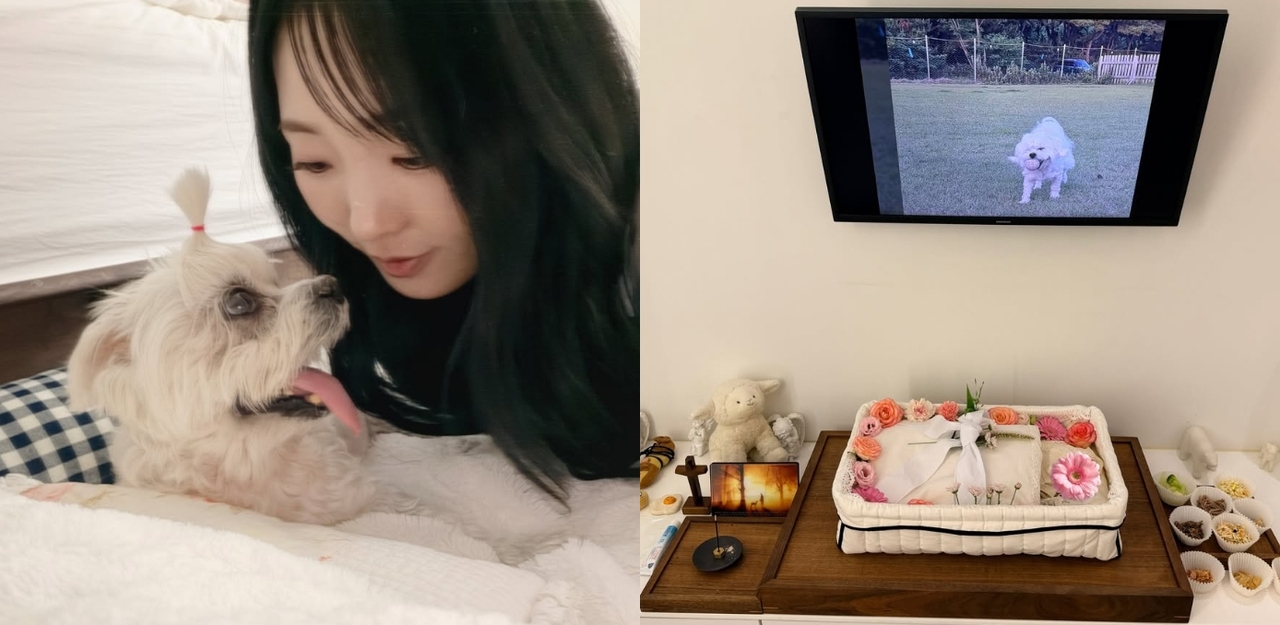 이보람 채널