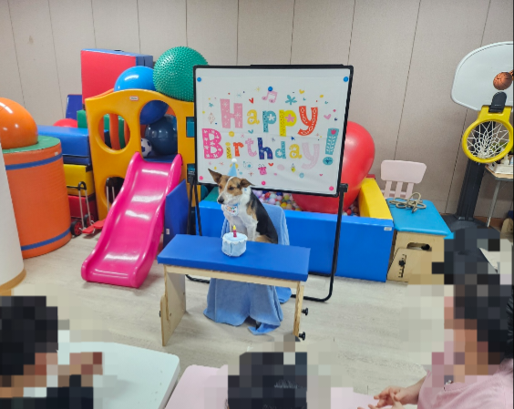 Children hold a birthday party for Victor, an 8-year-old border collie who is part of the Korean Human-Animal Interaction Association's animal-assisted reading program. (Korean Human Animal Interaction Association's official website)