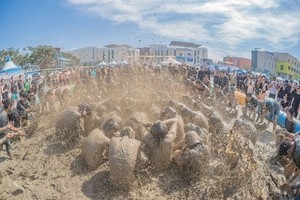 Festivals, sights across Korea