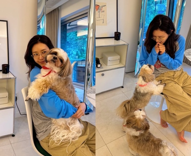 채정안 채널