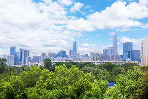 In Shenzhen, the surprise isn't the tech -- it's the green