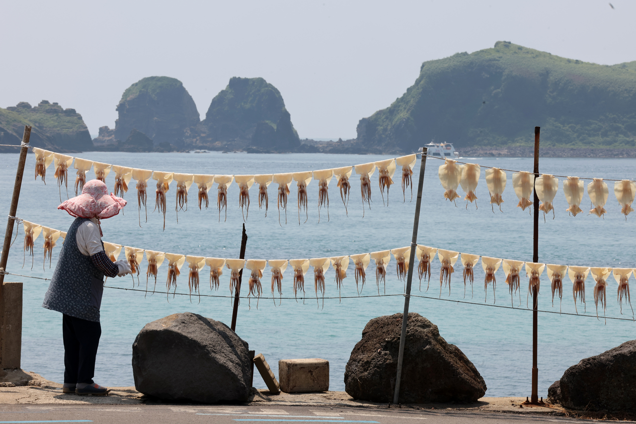 Squid is hung up to dry along the coast of Jeju Island on June 28. (Yonhap)