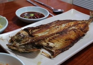 “8000원→1만5천원” 무서워서 못 먹겠다…만만한 국민생선, 갑자기 ‘금값’된 이유 [지구, 뭐래?]