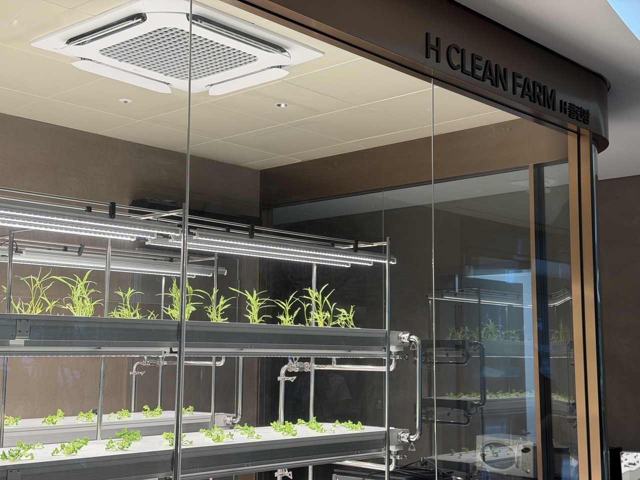 H Clean Farm, where residents can grow and harvest their own vegetables and plants within the complex. Photo by Yun Seong-hyeon