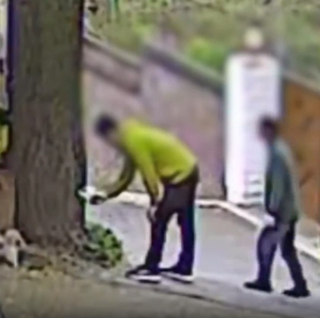 Security camera footage shows two men drilling holes into the Buam-dong ginkgo tree and injecting a substance believed to be herbicide on April 22. (SBS)