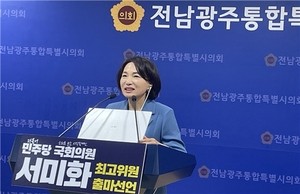 서미화 민주당 최고위원 출마
