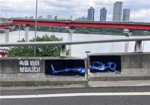 성수대교 9cm 단차에 ‘부러진 척추’ X레이 붙었다…광고 기획자 “정밀 조사해야”