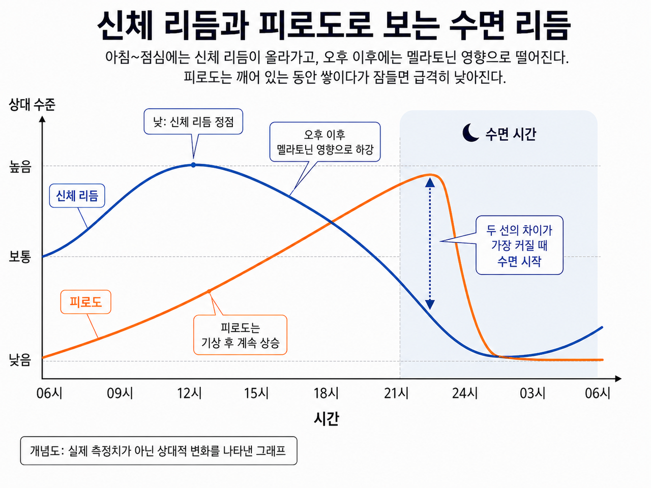 김동규 대한수면학회 홍보이사는 피로도는 아침에 깨면서부터 지속적으로 우상향하고, 신체리듬은 각성상태와 졸림상태가 순환하는 구조라고 설명했다. 그는 피로도 선이 가장 높아지고, 신체 리듬 선이 가장 낮아져 두 선의 간격이 가장 크게 벌어졌을 때 우리는 잠에 들게 된다고 설명했다. 그래프는 김 이사의 설명을 그래프로 정리한 개념 설명도 [김동규 이사. 그래프=챗GPT 생성]