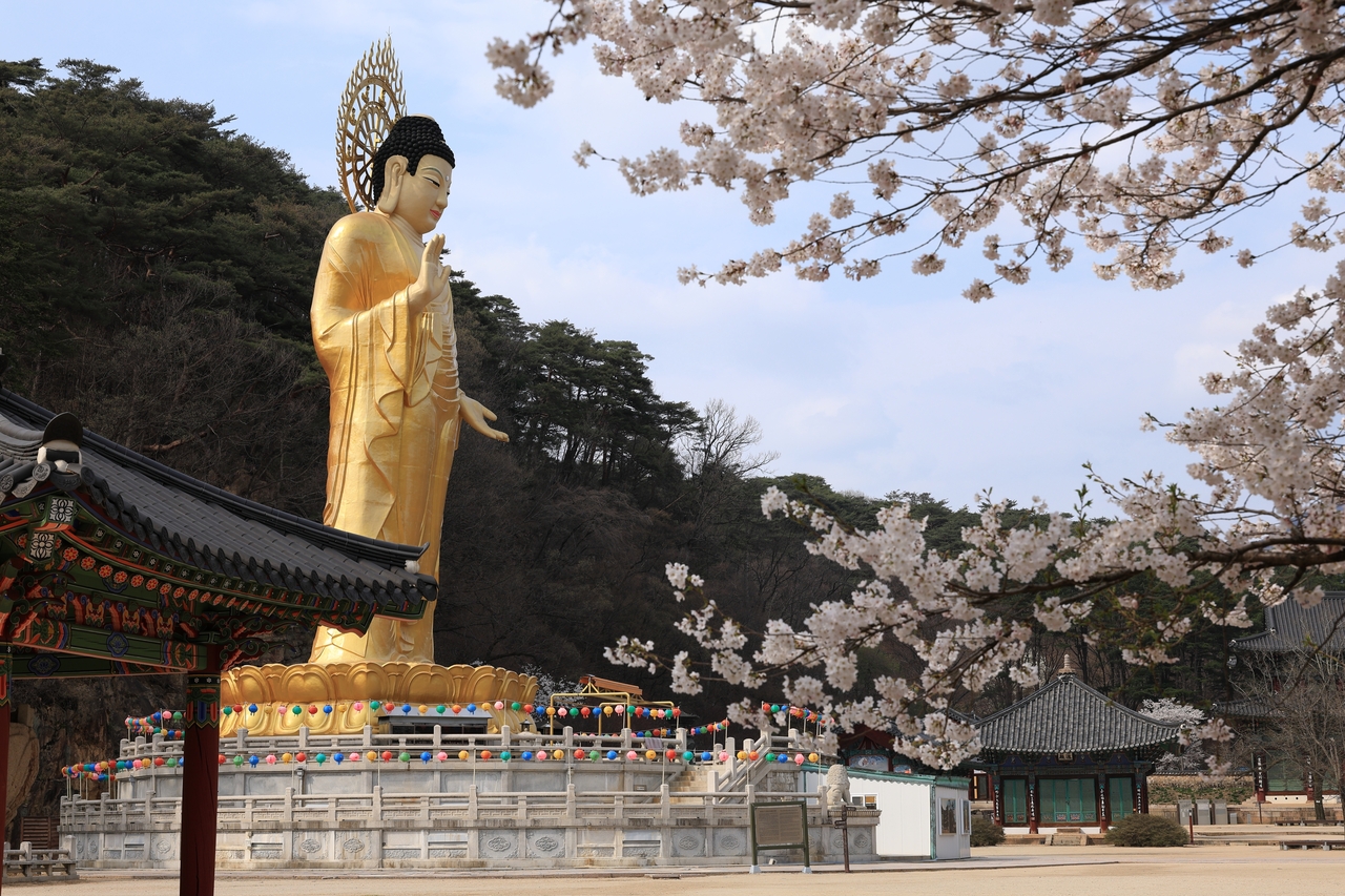 Beopjusa (Boeun County)