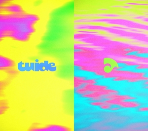 Hybe to launch girl group Tuide including Twice Jihyo’s sister