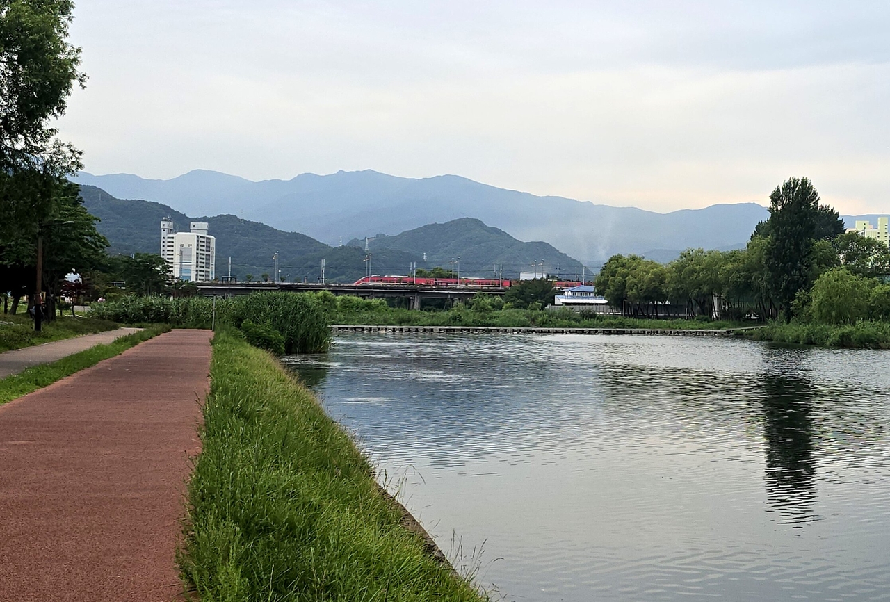 The Jeoncheon stream in Donghae, emerging as a new destination for running trips. The abandoned railway bridge, now the Floating Bridge Garden, is visible in the distance.