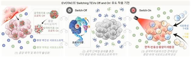 Switching TEVs off and on 전략의 작용 기전.[KIST 제공]