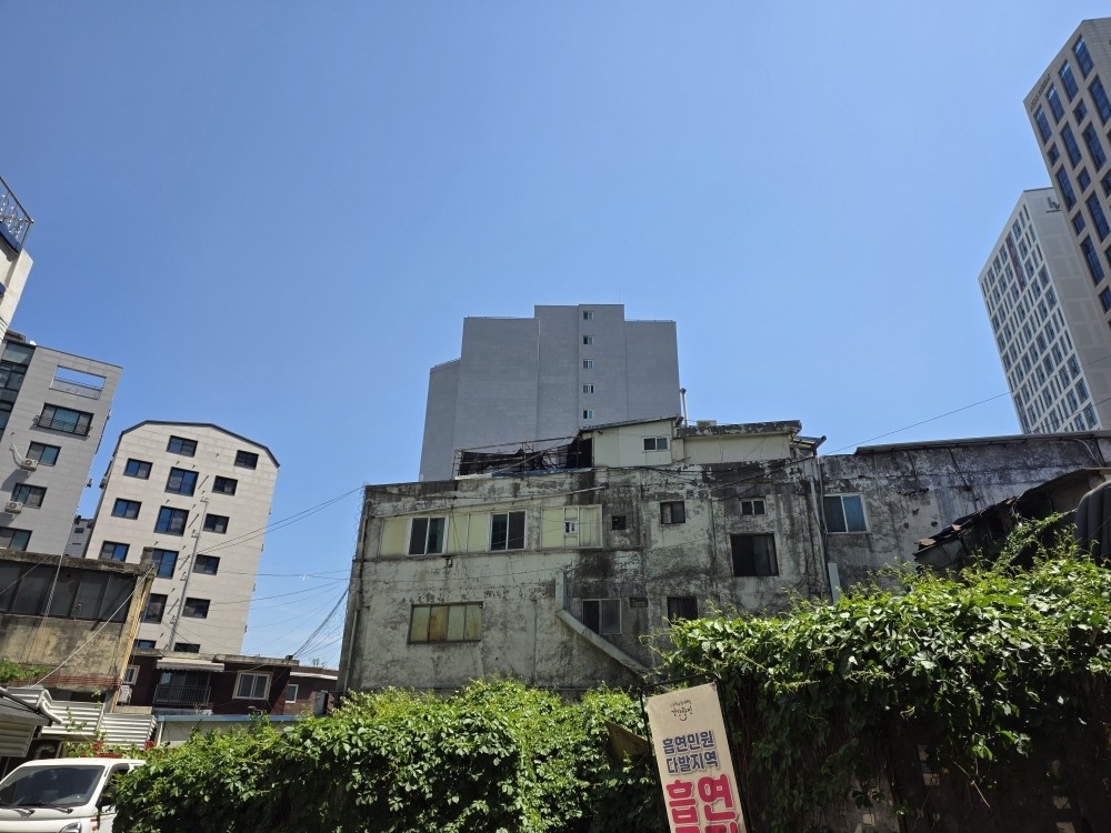 생활권 위험수목 정비사업