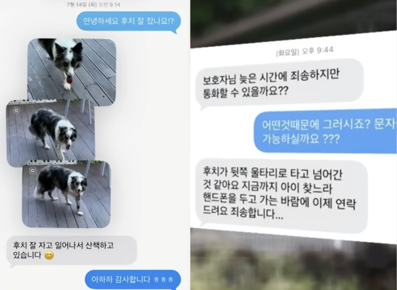 Screenshots of messages exchanged between the owner and the pet hotel operator. The operator later admitted that their claims the dog had escaped, including messages saying the dog was out for a walk, were false. (Online communities)