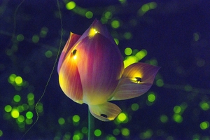 Festivals, sights across Korea