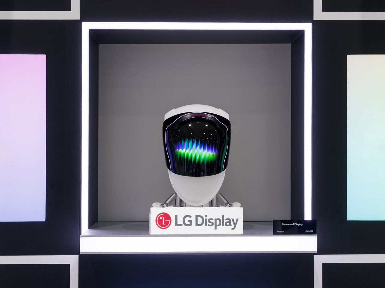 LG Display's P (plastic)-OLED panel for humanoid robots. [Provided by LG Display]