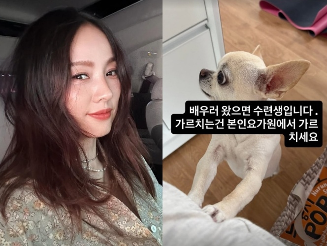 이효리 채널