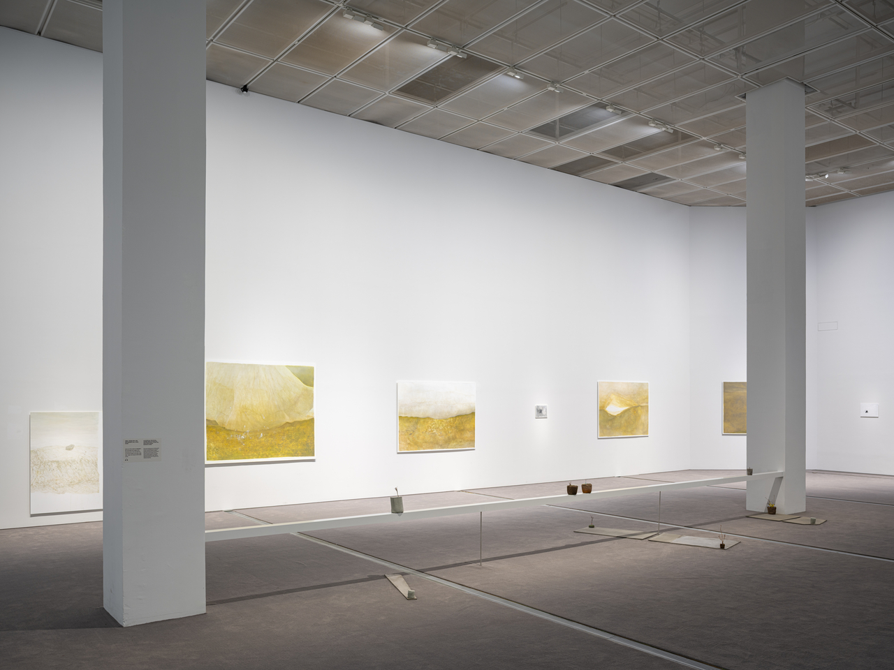 Installation view of Lee Haeminseon's new works commissioned for the Korea Artist Prize 2026 at MMCA Seoul (MMCA)