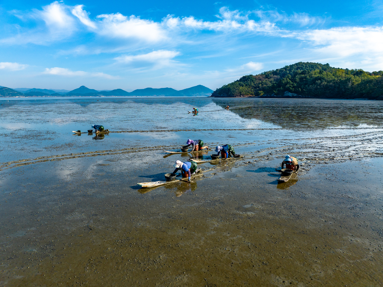 Boseong Getbol (World Heritage Promotion Team of Korean Tidal Flats)