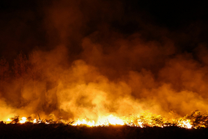 France and Spain battle wildfires, 250,000 flee