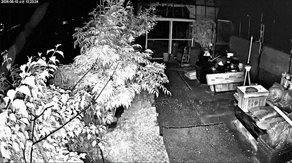 This video released by the Gyeongnam Provincial Police Agency shows a person who could be the suspect in the June 10 murder in Tongyeong, South Gyeongsang Province, crouching outside the victim's home. (Gyeongnam Provincial Police Agency)