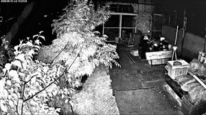 Tongyeong murder surveillance video released, as assailant remains on the run