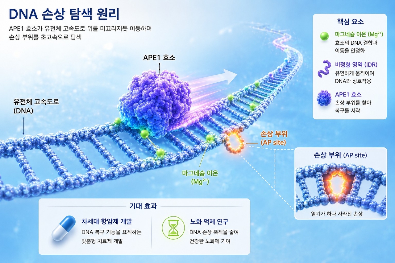 ‘나선형 폴리펩타이드 나노입자’ 플랫폼 모식도.[KAIST 제공]